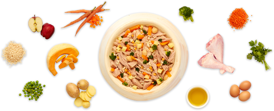 Hindi & Balık Etli Kedi Yemeği