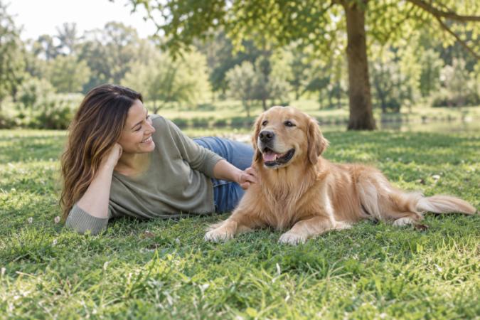 Köpeğinizin Sağlığınıza Katkıları