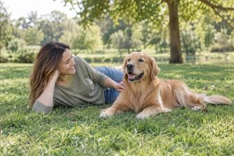 Köpeğinizin Sağlığınıza Katkıları